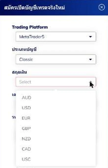 ช่องเลือกสกุลเงินในฟอร์มเปิดบัญชี MT5 ของ TMGM แสดง AUD, USD, EUR, GBP, NZD, CAD และ USC