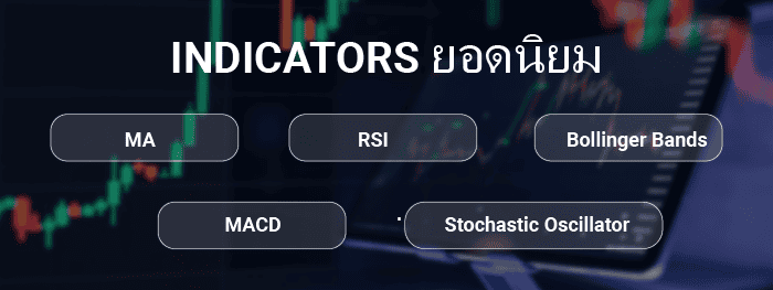 Indicators ยอดนิยม