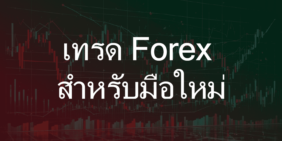 เทรด forex สำหรับมือใหม่