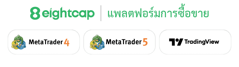 แพลตฟอร์มการเทรด ของ Eightcap ดีไหม?