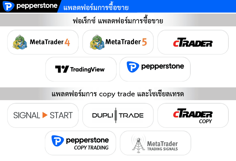 แพลตฟอร์มการเทรดของ Pepperstone ดีไหม ?