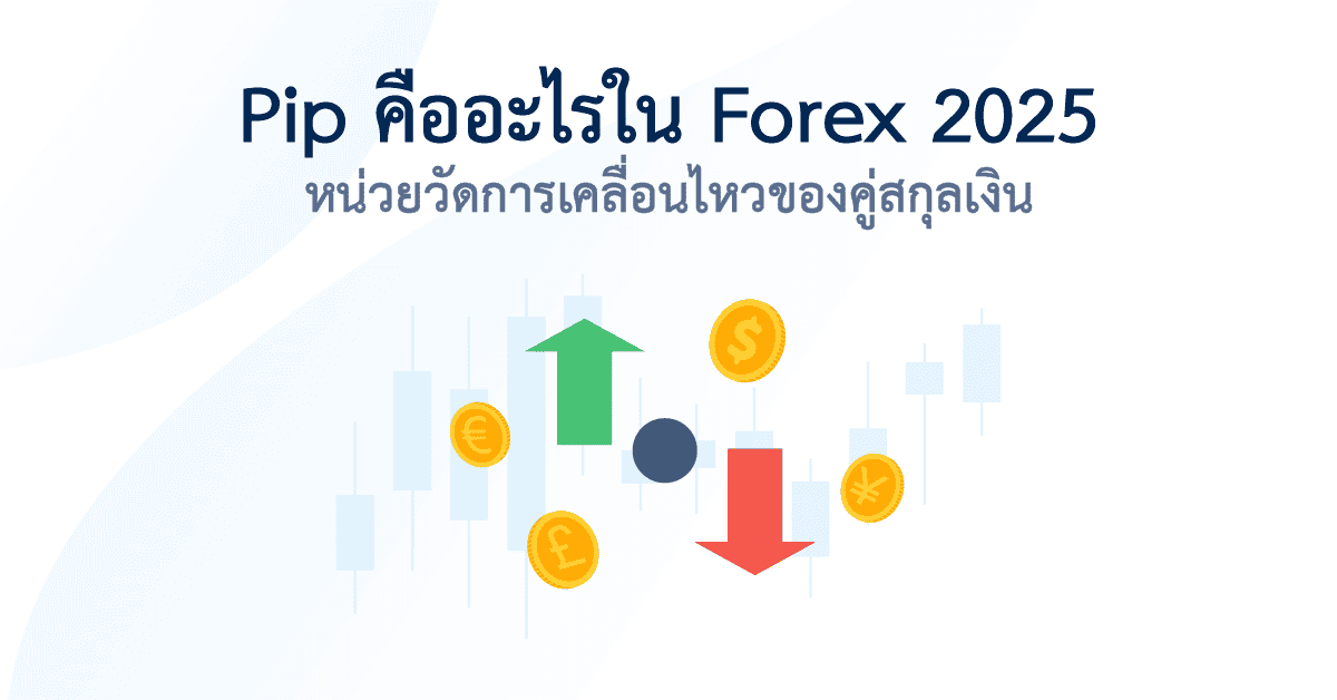 Pips คืออะไร