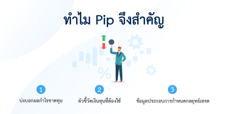 ความสำคัญของ Pips