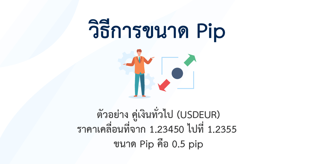การคำนวนขนาดพิป