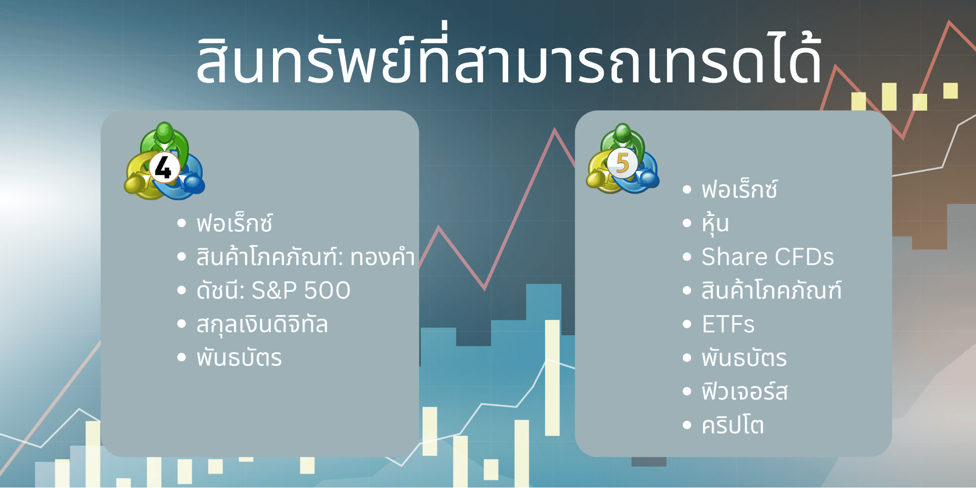 สินทรัพย์ MT4&5