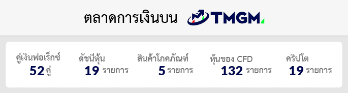 ผลิตภัณฑ์ทางการเงิน TMGM