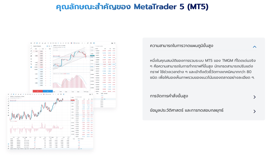 ฟีเจอร์ MT5 ของ TMGM