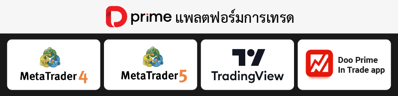 แพลตฟอร์มเทรดบน Doo Prime 