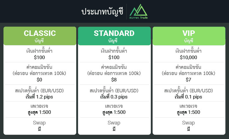 ประเภทบัญชี M