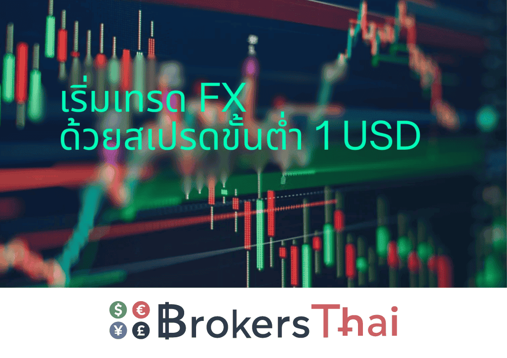 สเปรดบัญชี Standard